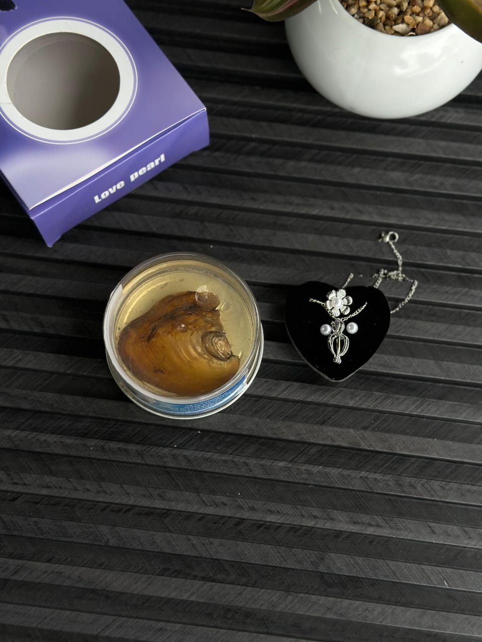 Love Bean Surprise Can  Romantic Necklace Gift